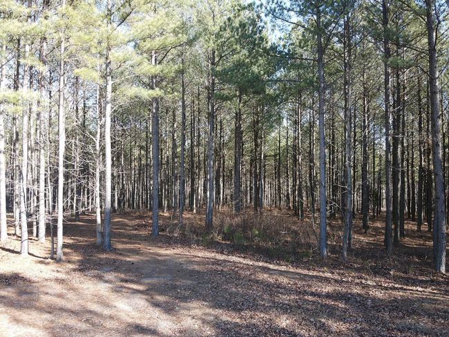 80 High Point Ln, Home with 0 bedrooms, 0 bathrooms and null parking in Jasper TN | Image 16
