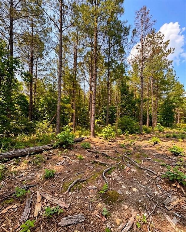 Land in Broken Bow 2