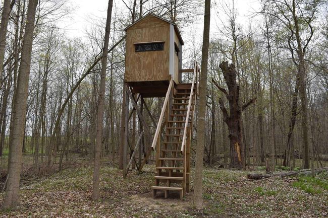West Deer Blind | Image 35