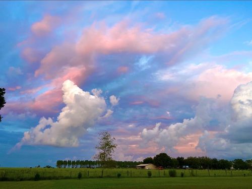 15300 Lake Iola Road, DADE CITY, FL, 33523 | Card Image
