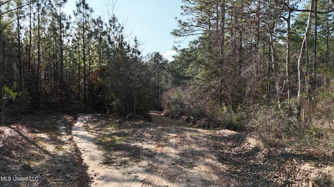 Trails 16 | Image 25