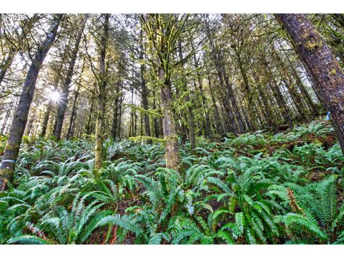 2-0 S Hwy 42, Coquille, OR, 97423 | Card Image