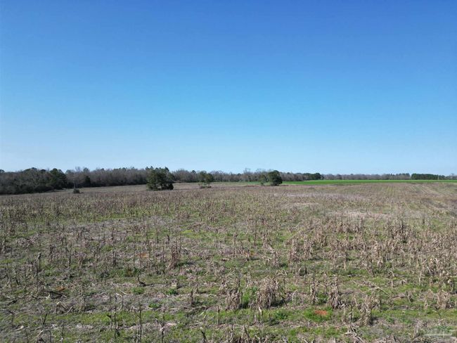 5400 Rockaway Creek Rd, Home with 0 bedrooms, 0 bathrooms and null parking in McDavid FL | Image 13