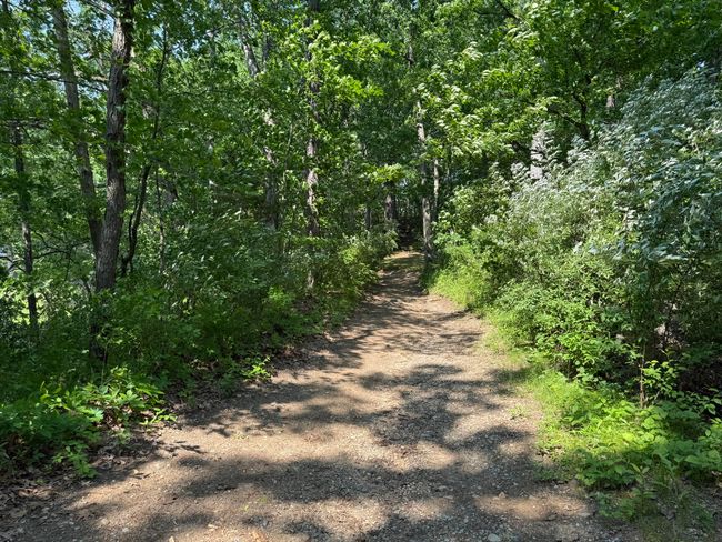 6458 Richardson Rd, Home with 0 bedrooms, 0 bathrooms and null parking in Howell MI | Image 43