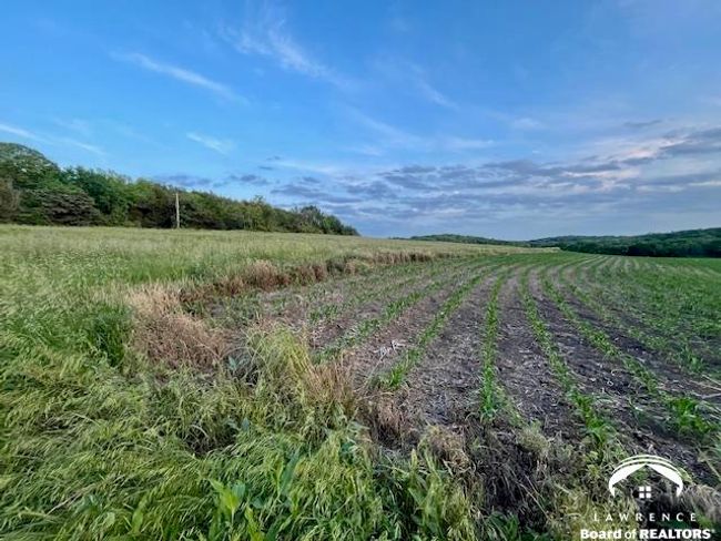 10.01 Acres M/L N 800 Road, Home with 0 bedrooms, 0 bathrooms and null parking in Baldwin City KS | Image 8
