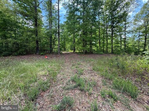 4612 King William Rd, Aylett, VA, 23009-2550 | Card Image