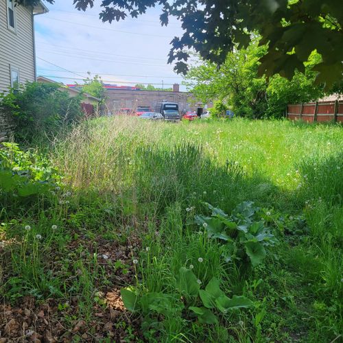 2029 Willow Ave N, Minneapolis, MN, 55411-1812 | Card Image