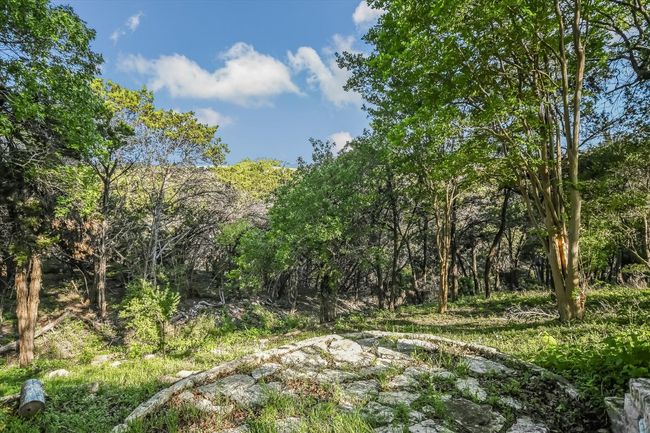 Lower yard | Image 24