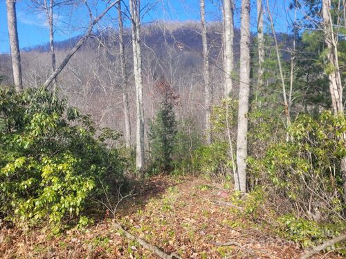 94-0 Garnet Rd, Sylva, NC, 28779 | Card Image
