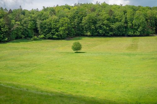 lot-20-11888 Stable View Dr, Eads, TN, 38028-7056 | Card Image
