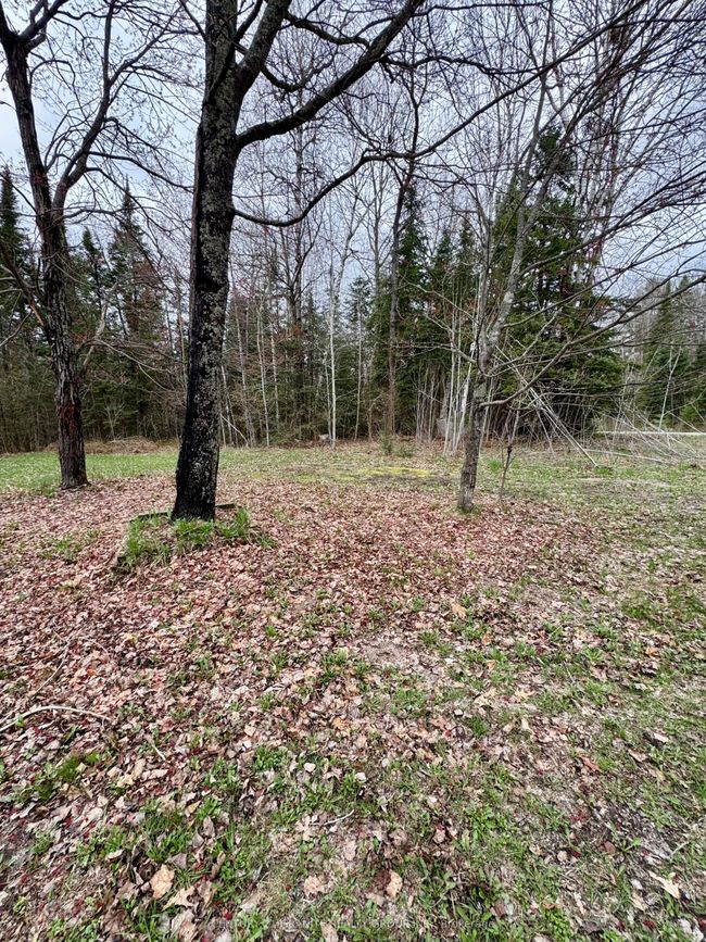 1342 Boulter Rd, House other with 4 bedrooms, 2 bathrooms and 6 parking in Carl ON | Image 31