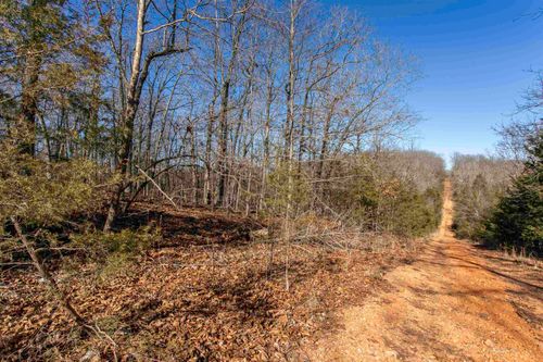 000 Buck Ridge Ln, Williford, AR, 72482 | Card Image