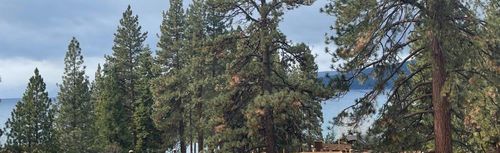 9005 N Lake Blvd, Kings Beach, CA, 96143 | Card Image