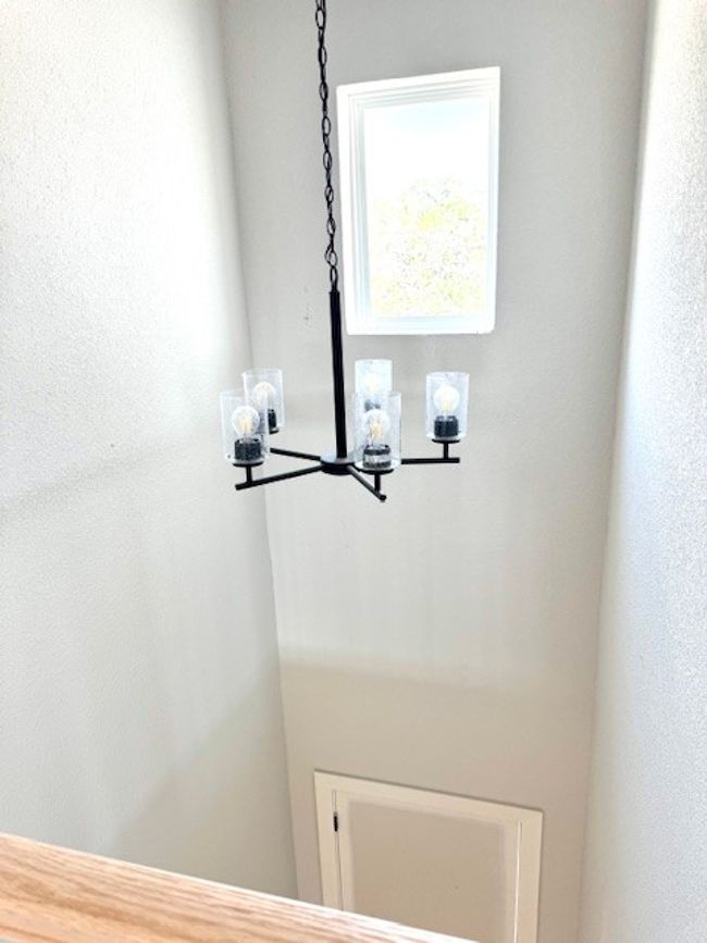 170 Craigends Yew Rd, House other with 4 bedrooms, 3 bathrooms and 4 parking in Dripping Springs TX | Image 8