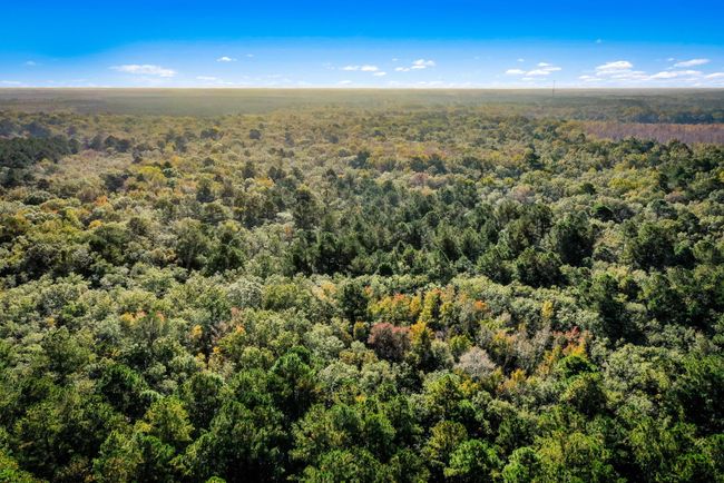 HFL_OSBORNE TRACT-34-2 | Image 5