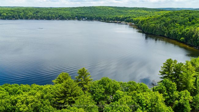 1230 N Shore Rd, House other with 2 bedrooms, 2 bathrooms and 9 parking in Algonquin Highlands ON | Image 38