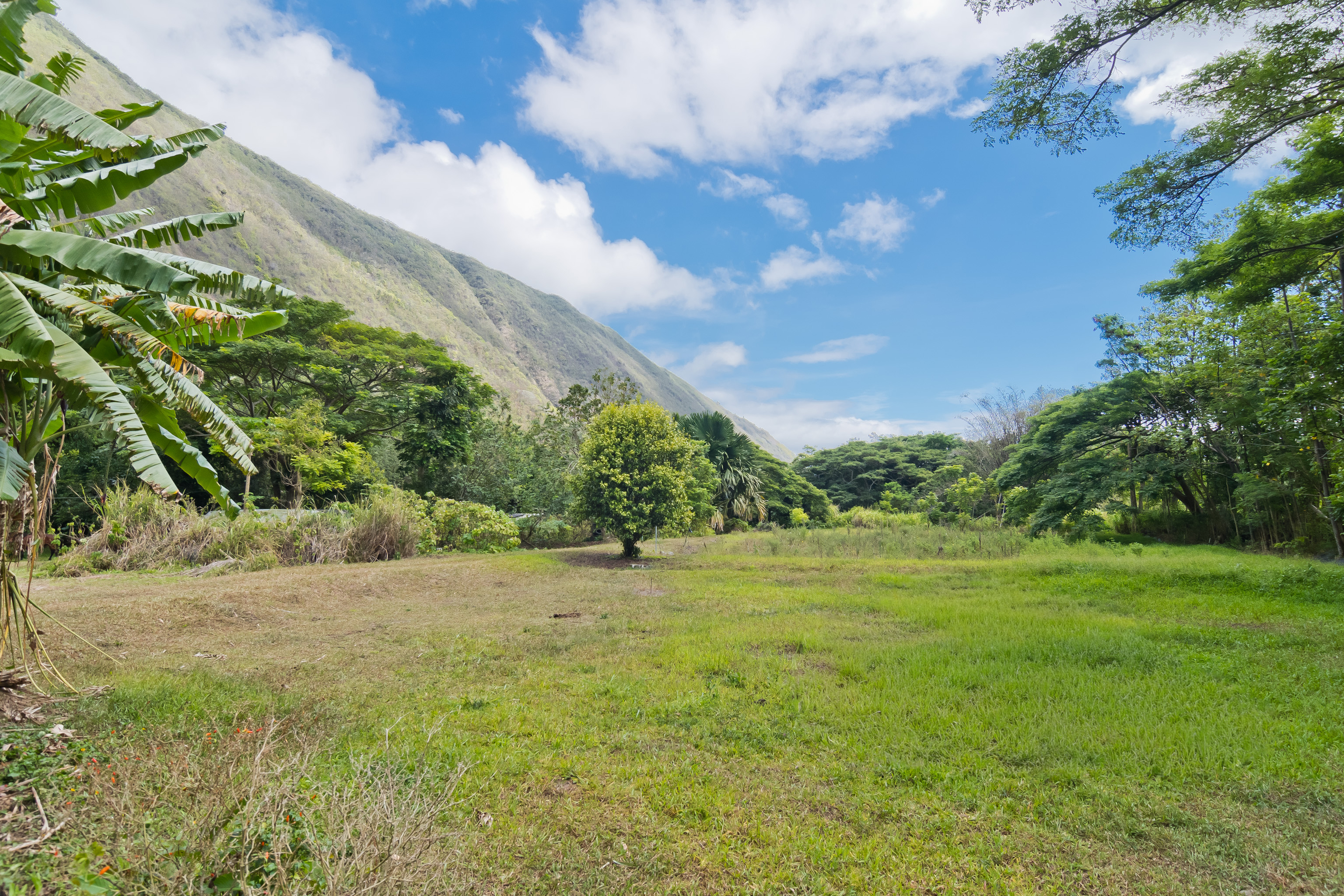 Land in Honokaa