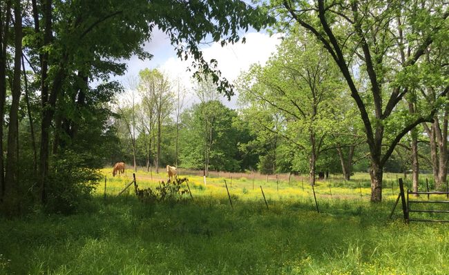 5755 Railroad St, House other with 1 bedrooms, 1 bathrooms and null parking in Williston TN | Image 14