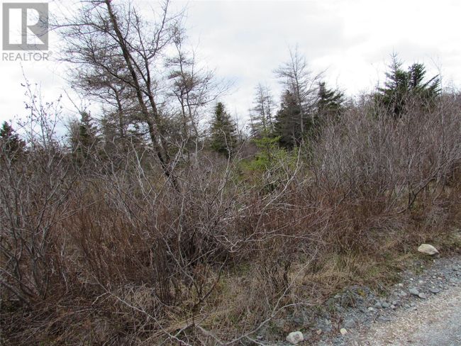 45 New Line Road, Home with 0 bedrooms, 0 bathrooms and null parking in Colliers NL | Image 16