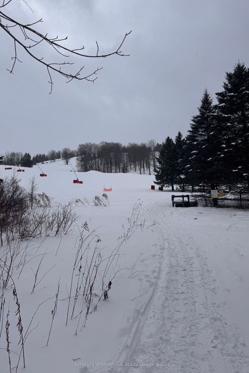 39 Pine River Cres, Mulmur, ON, L9V3H3 | Card Image