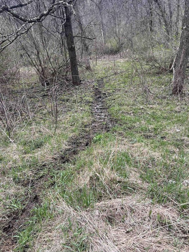 71 +/- Acres Scenic View Road, Home with 0 bedrooms, 0 bathrooms and null parking in Seneca WI | Image 34