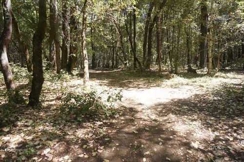 800 Suzy Q Rd, Hawkins Bar, CA, 95527 | Card Image