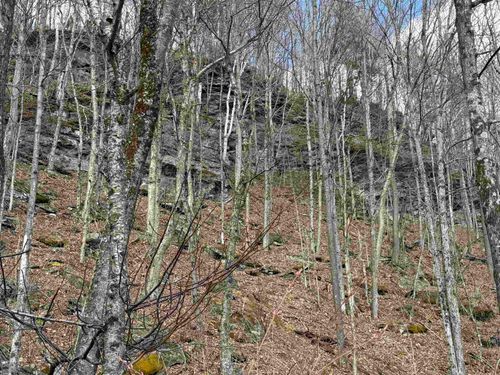 493 Wheeler Mountain Rd, Barton, VT, 05822 | Card Image