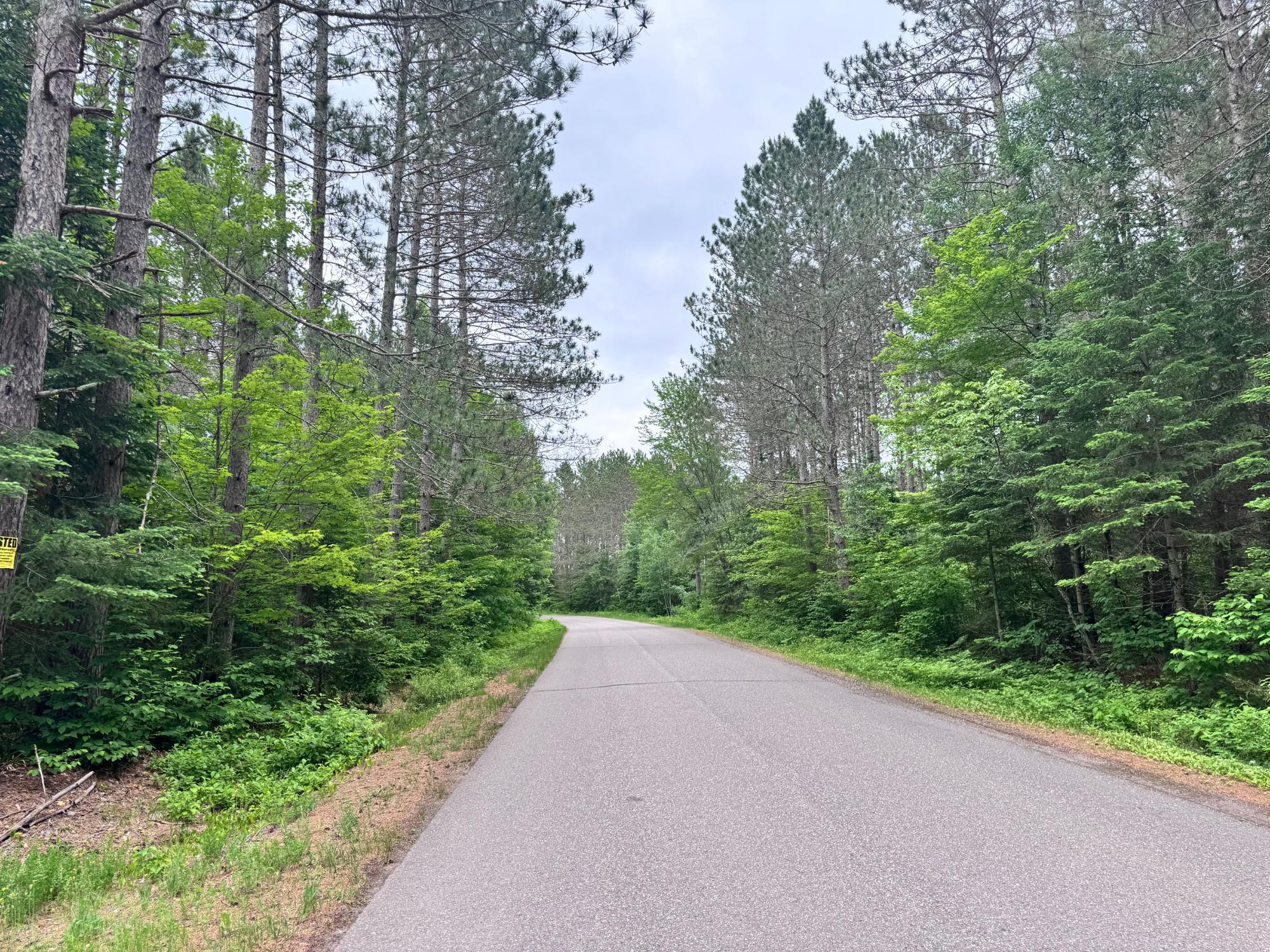 Land in Minocqua 3