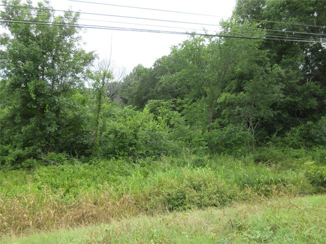 View of undeveloped land | Image 5