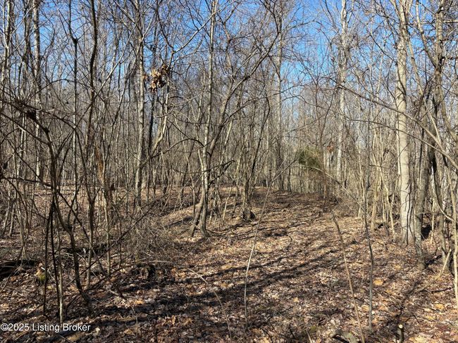 2701 Hardesty Raymond Rd, Home with 0 bedrooms, 0 bathrooms and null parking in Webster KY | Image 20