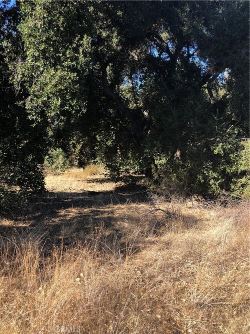 0 Red Mountain Road, Hemet, CA, 92544 | Card Image