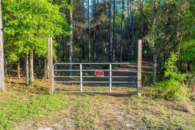 235 Cue Lake Drive, Home with 0 bedrooms, 0 bathrooms and null parking in Hawthorne FL | Image 3