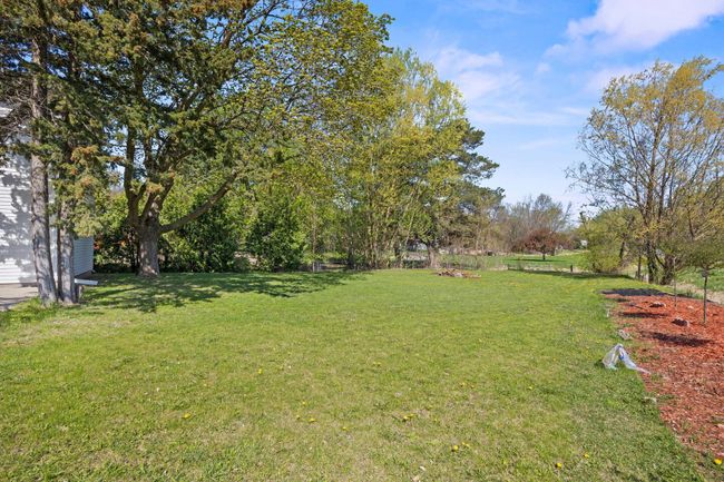 Large yard with mature trees | Image 20