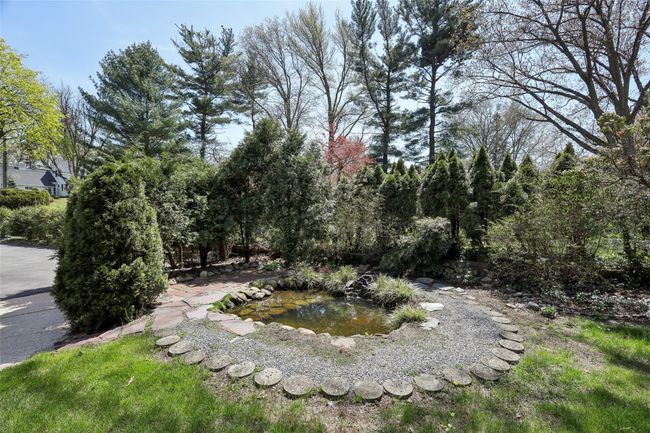 View of yard featuring a small pond | Image 40