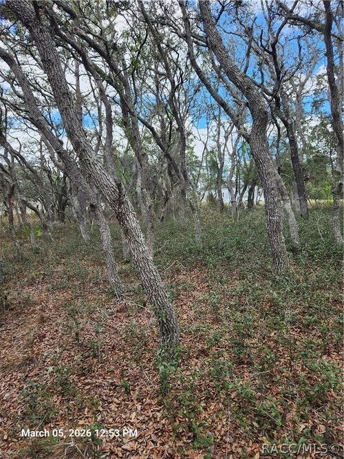 5686 Butan Point, Homosassa, FL, 34446 | Card Image