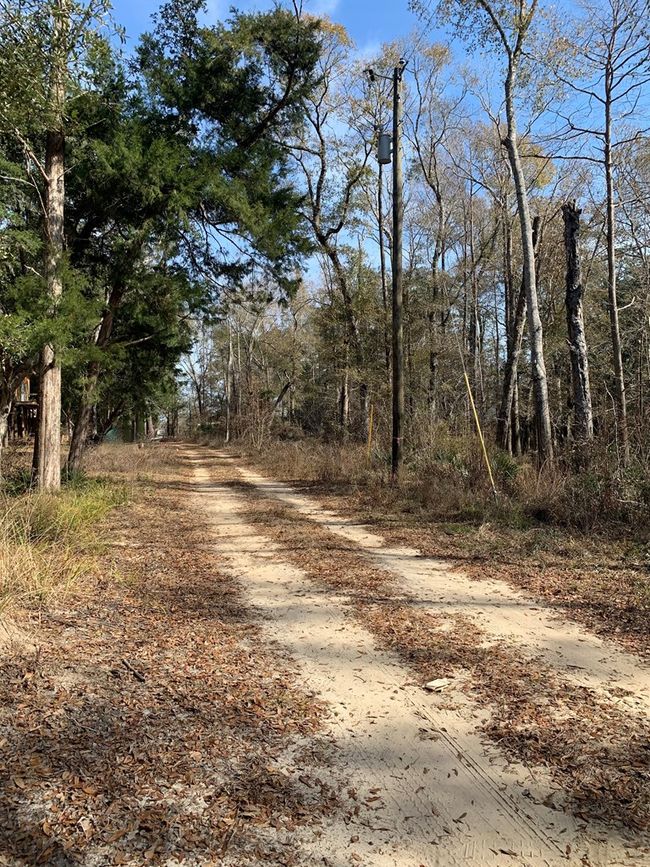 Road to access the lot | Image 11