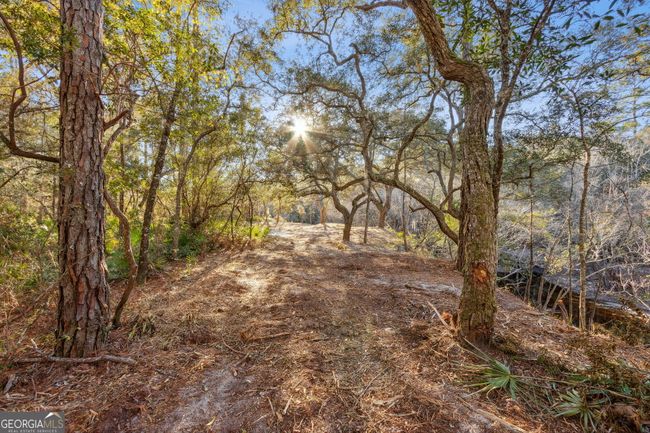 0 Highway 185, Home with 0 bedrooms, 0 bathrooms and null parking in Saint George GA | Image 19
