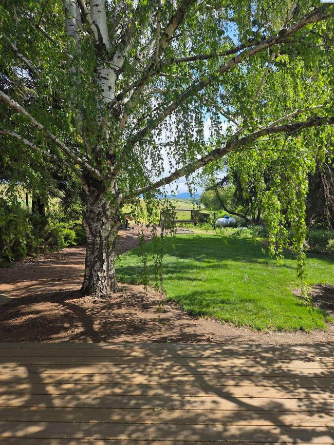 6302 Sand Rd, Home with 4 bedrooms, 3 bathrooms and null parking in Pullman WA | Image 11