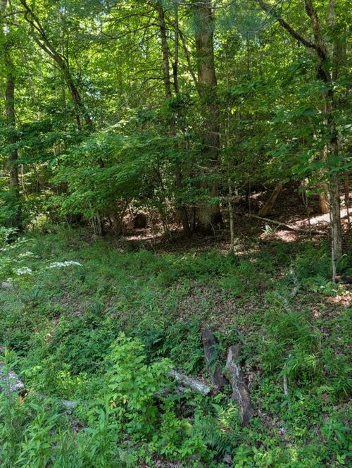 00 Talc Mine Road, Murphy, NC, 28906 | Card Image
