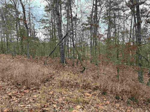 Lot 2 Pinocha Way, Hot Springs Village, AR, 71909-7323 | Card Image