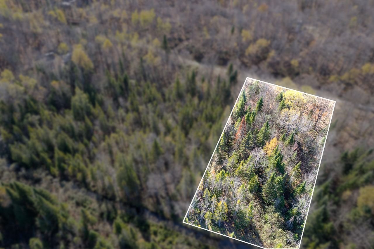 Land in Saint-Didace 2