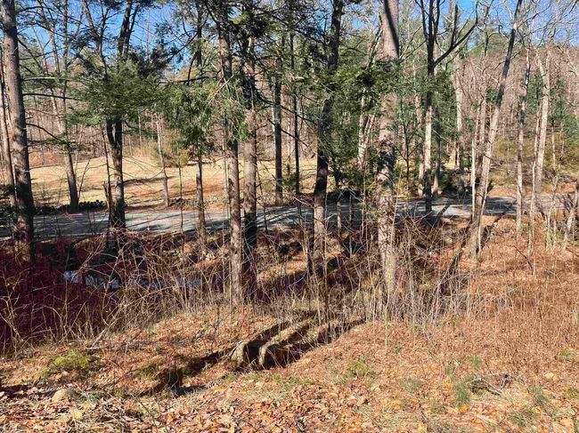 63 New Boston Rd, Home with 0 bedrooms, 0 bathrooms and null parking in Francestown NH | Image 28