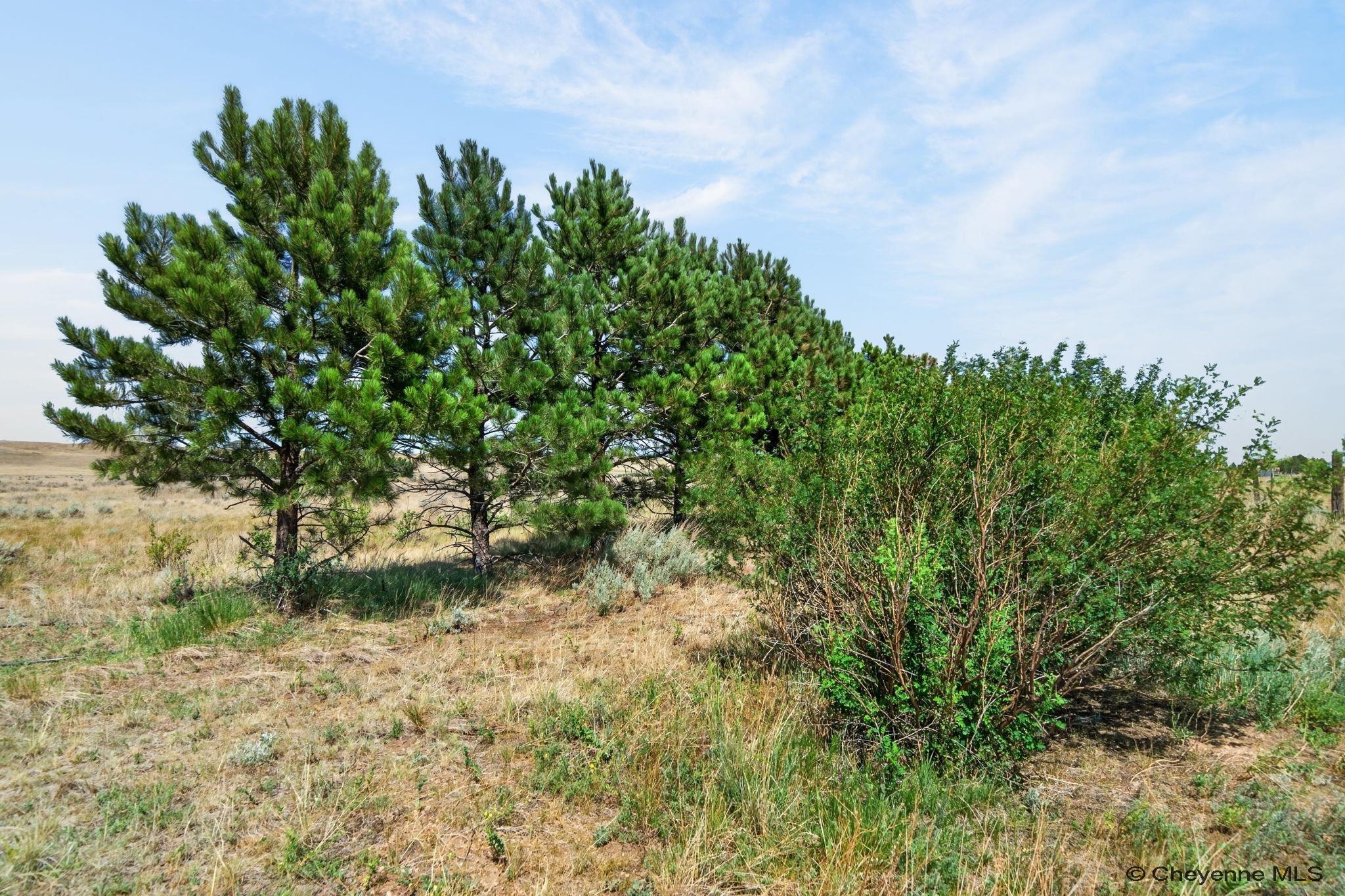 Land in Cheyenne 5