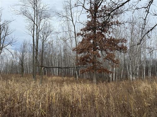 0000 Woody Ln, Gilman, WI, 54433 | Card Image