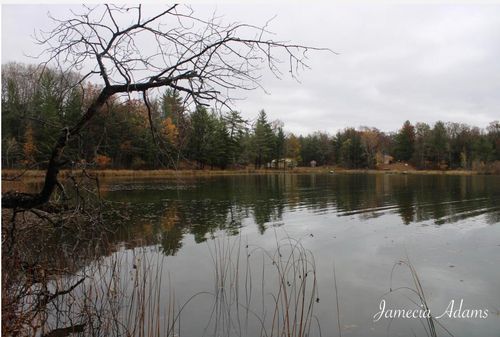 2 S Paris, Idlewild, MI, 49642 | Card Image