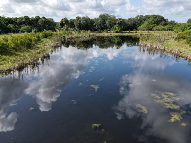 0 Cabbage Trl, Home with 0 bedrooms, 0 bathrooms and null parking in Okeechobee FL | Image 7