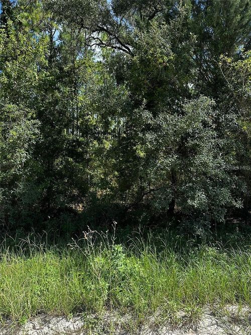 XX Sw 21st Pl, WILLISTON, FL, 32696 | Card Image