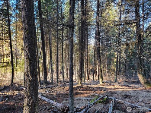 9999 TBD Lundimo Meadows Road, Curlew, WA, 99118 | Card Image