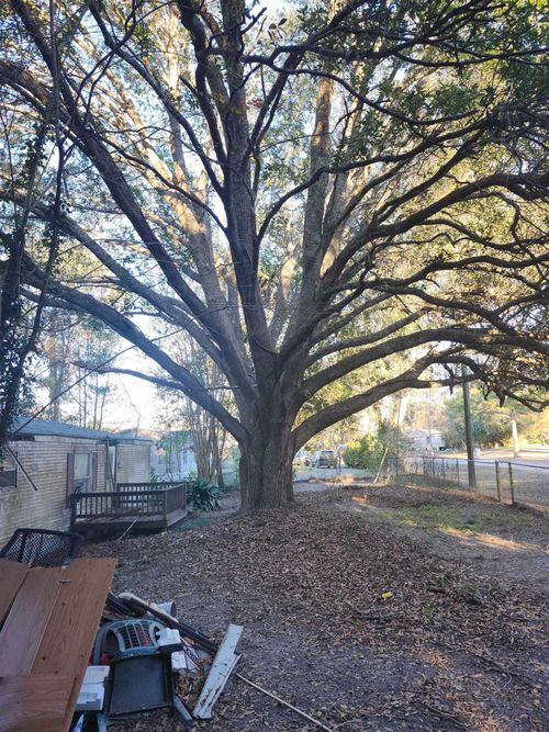 5076 Meadowlark Lane, TALLAHASSEE, FL, 32303 | Card Image