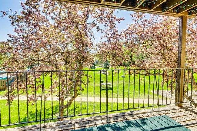 View From Deck | Image 11